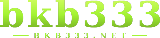 bkb333 logo
